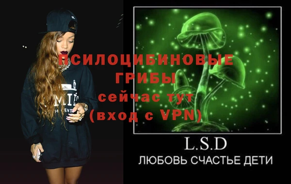 apvp Володарск