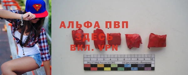apvp Верея