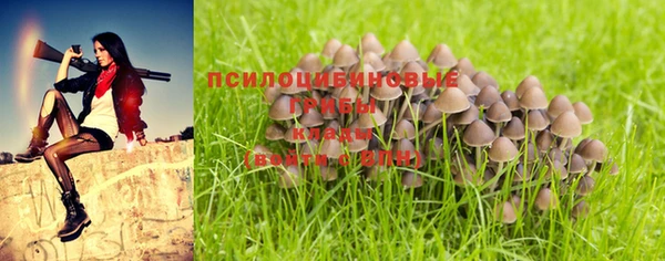 ECSTASY Волосово